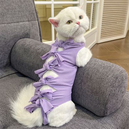 Picture of 绝育服