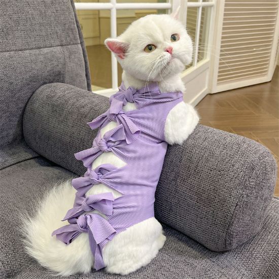 Picture of 绝育服